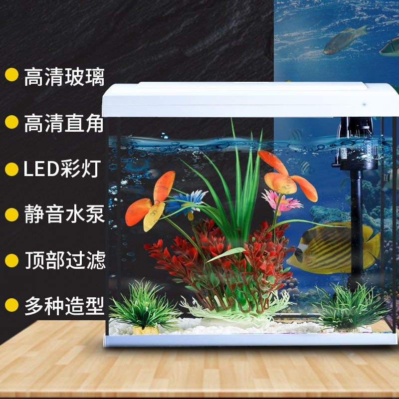 我的鱼缸