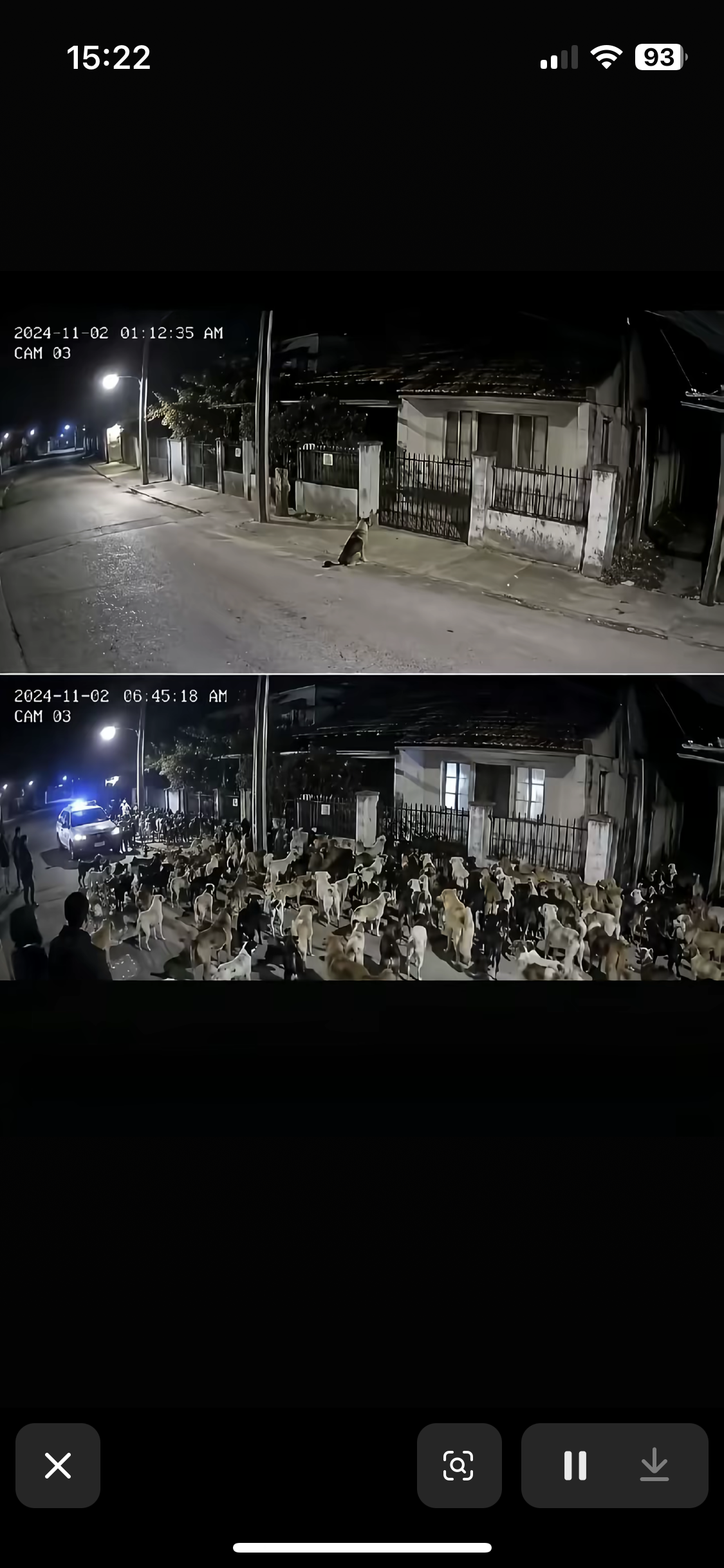 百犬送行